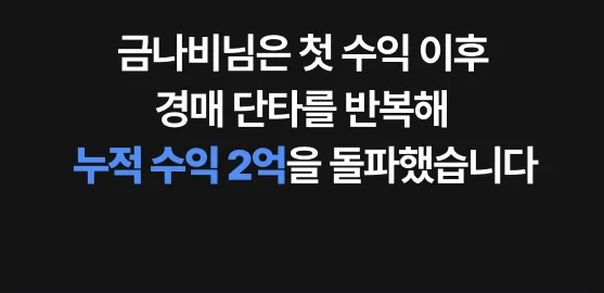 금나비님은 첫 수익 이후 경매 단타를 반복해 누적 수익 2억을 돌파했습니다